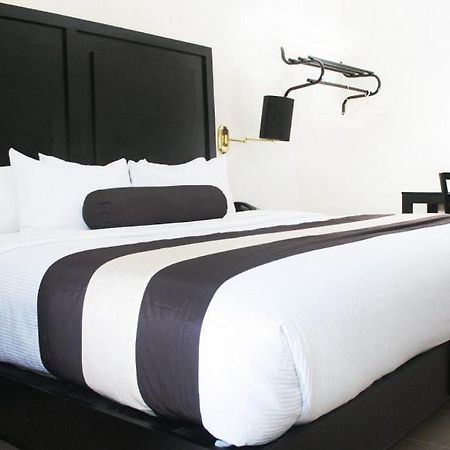 Hotel El Camino Inn & Suites Рейноса Екстериор снимка